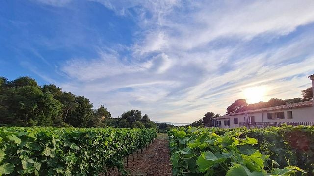 Domaine De La Navicelle