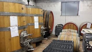 Degustação de vinhos e tour em Failoni