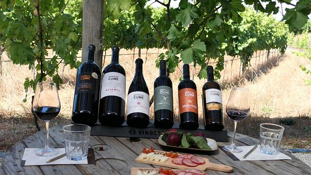 Wine Tasting and Tour at Quinta Do Cume