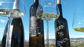 Degustação de vinhos e passeio em Sancin