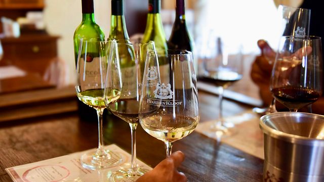 Dégustation de vins au domaine PaardenKloof