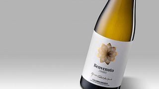 Experience Wine Tasting at Cantine Benvenuto