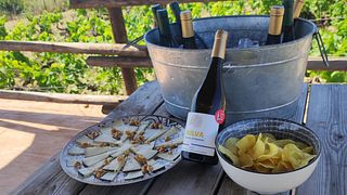 Nilva Enoturismo