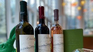 Degustação de vinhos populares e tour na vinícola Chabiant