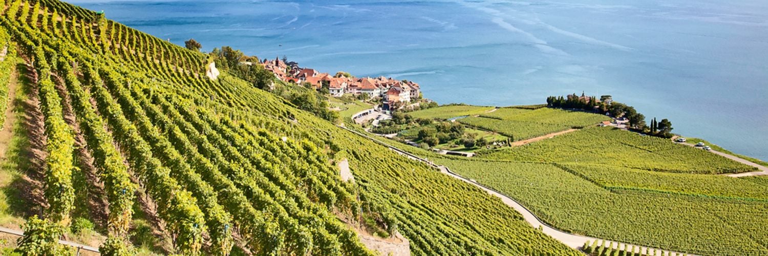 Lavaux-Vaud WIne Region-Switzerland