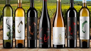 Wine tasting, North Macedonia, Iliev Winery