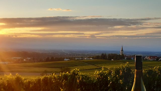 Weingut H.Steinle