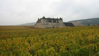Degustazione di vini e tour a Viña Ruda