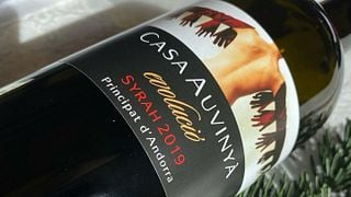 Vinprovningsupplevelse på Casa Auvinya