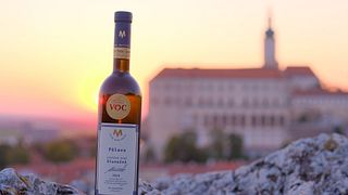 Degustazione di vini e visita della cantina presso l'azienda vinicola biologica Víno Marcinčák