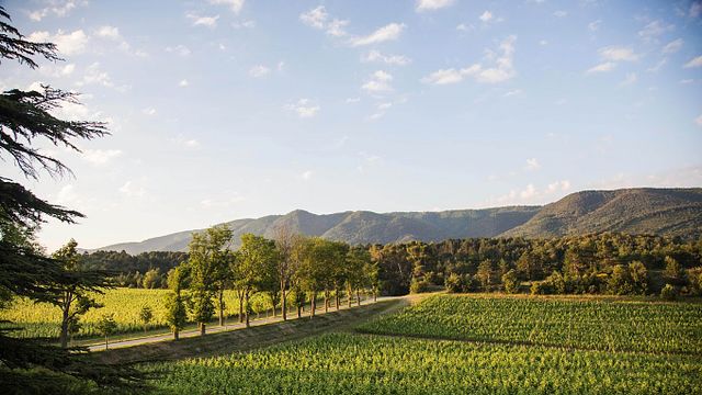Domaine De Baronarques
