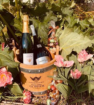 Degustação de vinhos e tour na Champagne Philippe Glavier