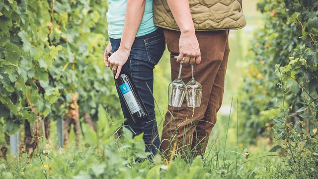 Weingut Sanders&Sanders