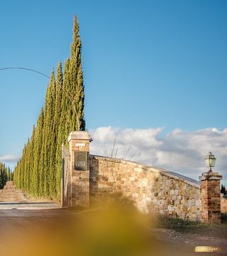 Montalcino: Visita a la bodega y cata vertical de Brunello Gourmet