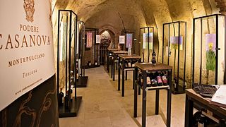 Degustazione "Debutto" al  Wine Art Shop Podere Casanova