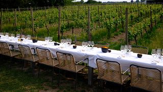 Private Tour and Tasting
