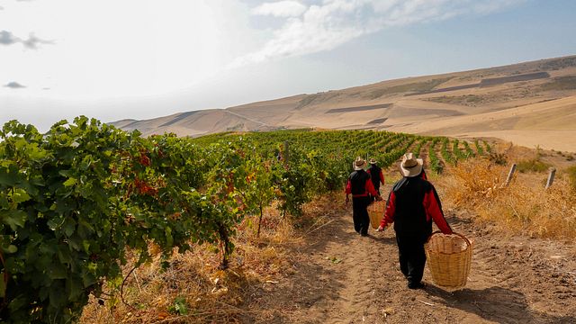 Chabiant Winery