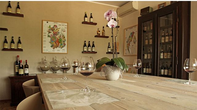 Cannubi: Paseo por el viñedo y experiencia Barolo