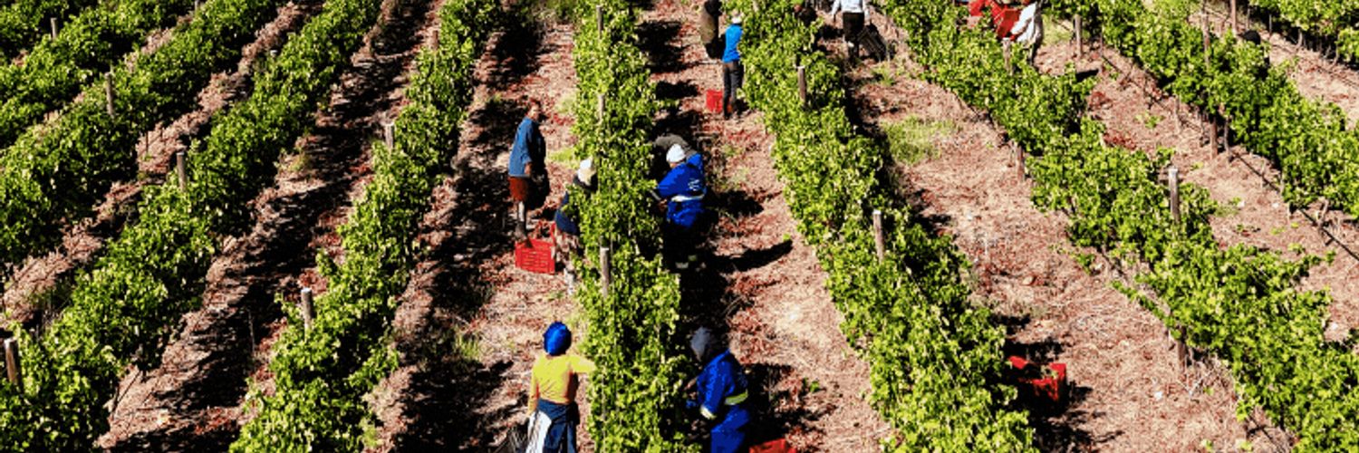 February Harvest Newsletter 2025