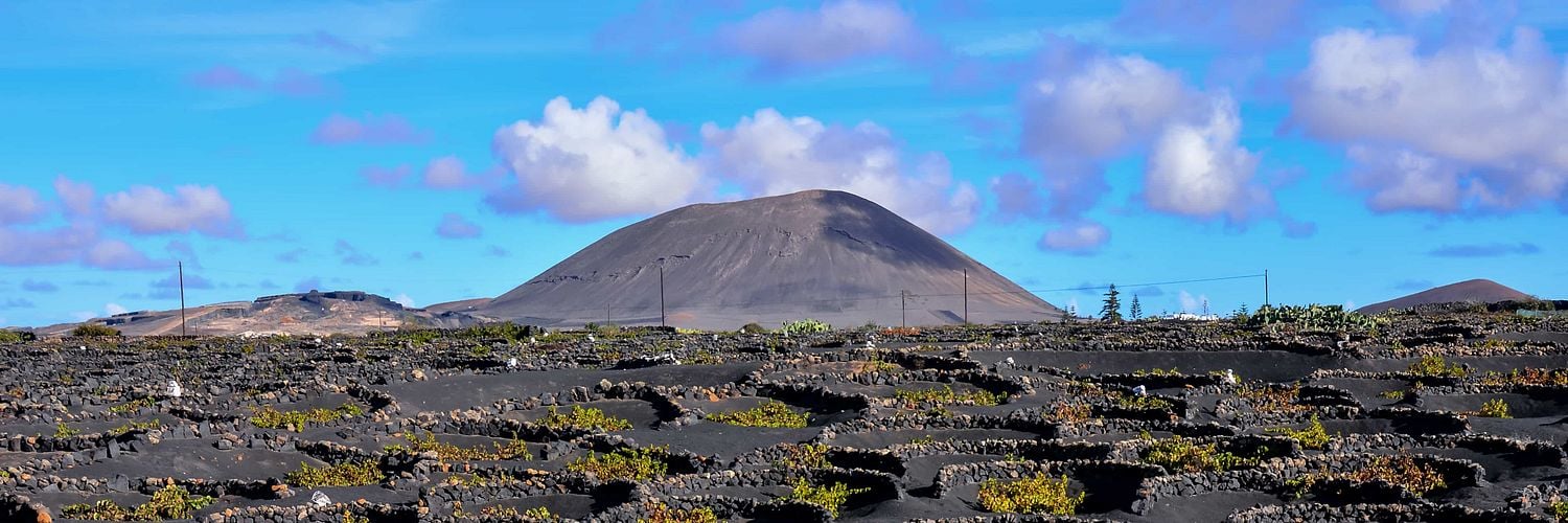 Canary Islands_La Geria vineyard