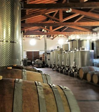 Tenuta L'Impostino: A Tuscan Gem