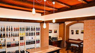Weinprobe und Führung in der Azienda Agricola Rinaldi Vini