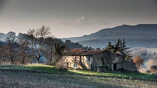 Weinprobe und Besichtigung im Domaine de la Mongestine