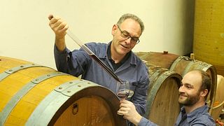 Rundtur och provsmakning på Weingut & Edelbrennerei Gemmrich