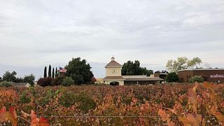 Dégustation de vins et visite du domaine viticole Fäsi Estate