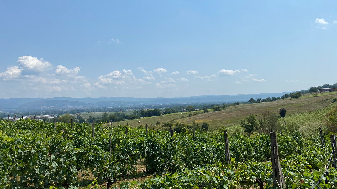 Cantina del Colonna
