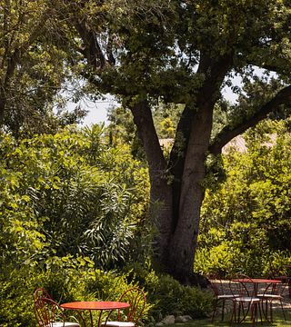 Tenuta Le Colonne: A Gem in Bolgheri