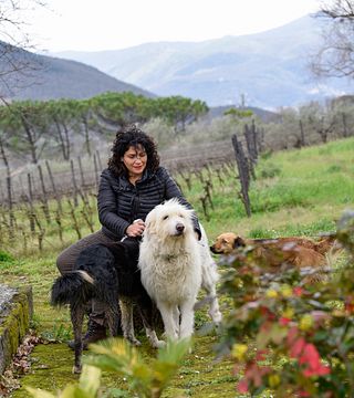 Esperienza di vino di campagna sul sentiero del Pallagrello Reale