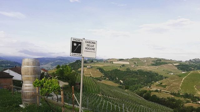 Cata de vinos y visita guiada a Cascina Delle Rocche Di Moncucco