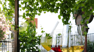 Tricolori-Weinprobe im Familienweingut Bedalov