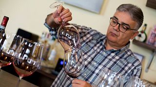 Cata de vinos y visita guiada en Mauro Sebaste