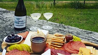 Cata de vinos en grupo en los viñedos de Ashton Hills