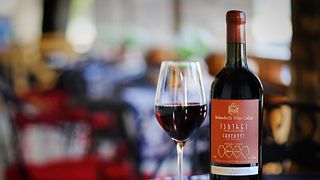 Visite et dégustation de vins dans la cave Vaziani