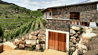 Catalonia's Priorat: Vineyard Tour & Premium Wine Tasting