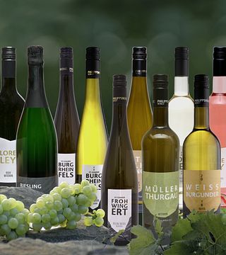 Degustação de Vinhos no Weingut Philipps-Mühle