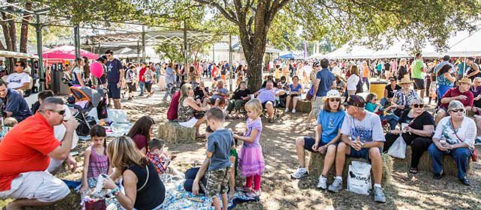 Fredericksburg-Food-Wine-Fest-Saturday-TourTexas