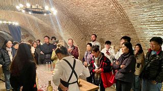 Recorrido privado de día completo por las bodegas 