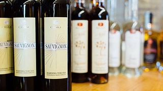 Dégustation de vins et visite du domaine Podere Cigli