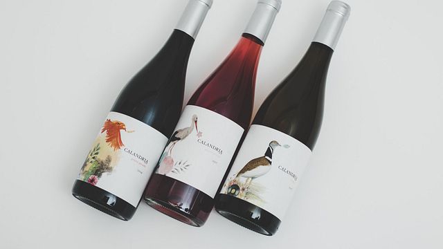 Bodegas Belote