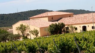 Weinprobe und Führung im Château Saint Hilaire