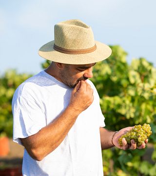 Weinprobe und Tour bei Fabio Ferracane