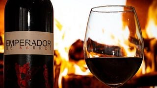 Dégustation de vins et visite des Bodegas Viticultores De Barros