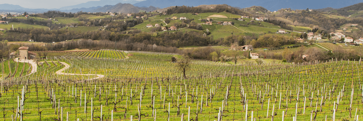 Conegliano