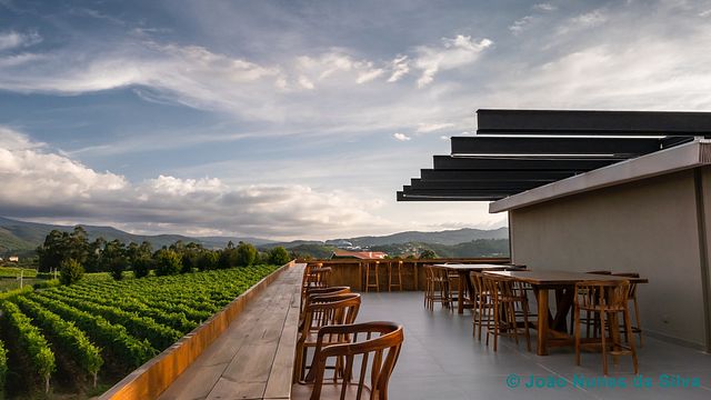 Découvrez les vins de la Quinta da Raza produits avec le cépage Alvarinho