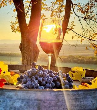 Castillos y vinos – 2 días en Rumanía