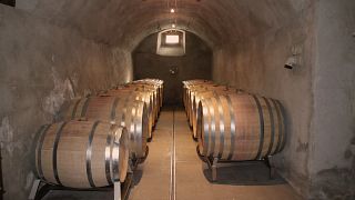 Degustazione di vini presso Weingut zur alten Post